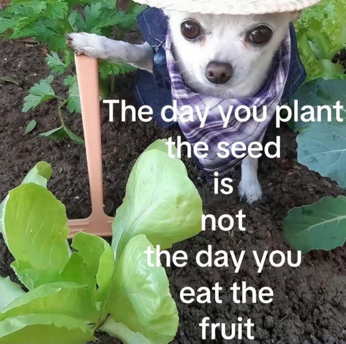 Keep going visual